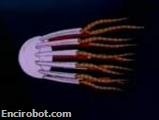 Encirobot.com