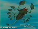 Encirobot.com