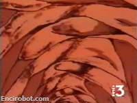 Encirobot.com