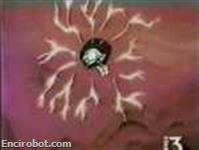 Encirobot.com
