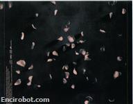 Encirobot.com