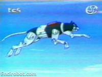 Encirobot.com