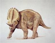 dinobuz03