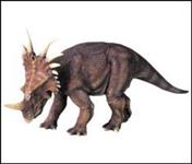 dinobuz05