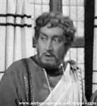 dominiciarturo