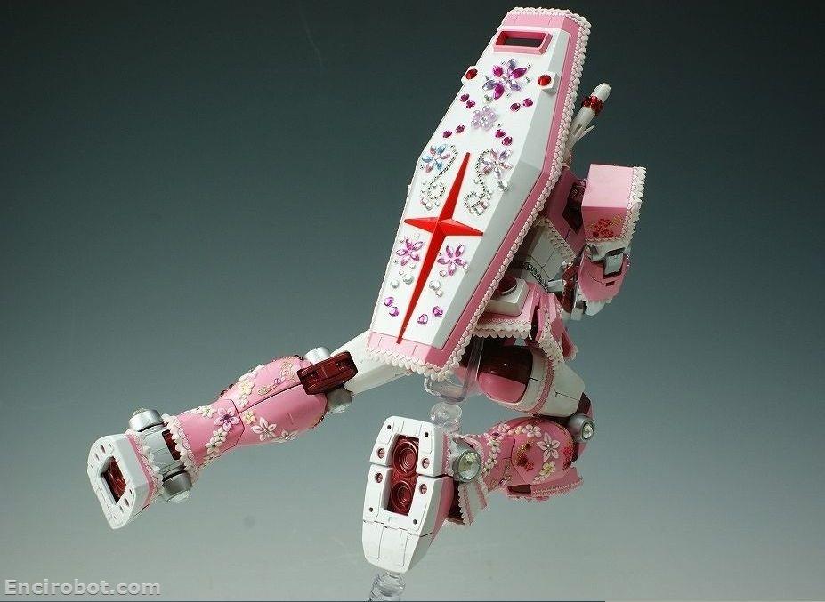 Encirobot.com