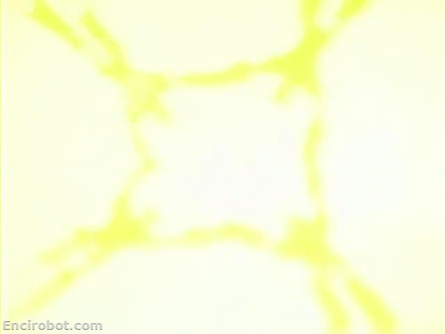 Encirobot.com