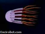 Encirobot.com