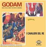 godam diskita01