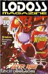 lodoss magazine2 30 01
