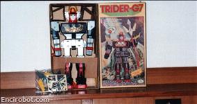 trid11