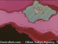 apolon01