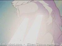 apolon04