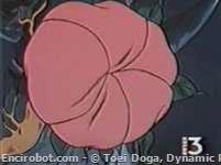 flora01