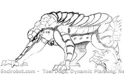 aniba11