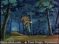 katsuko saotome parents17